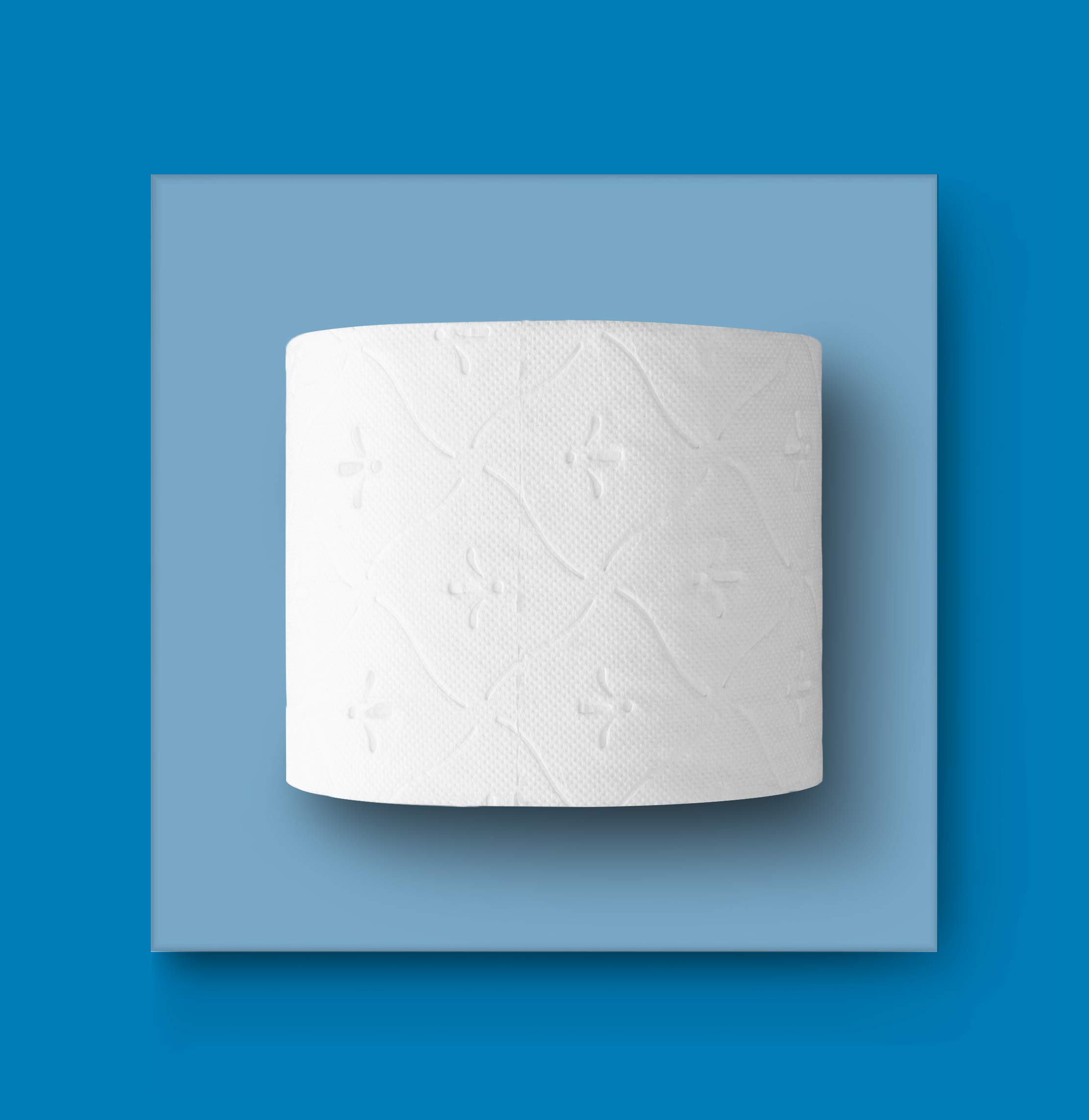 AmazonCommercial Toilettenpapier, 3-lagig Premium, 72 Rollen (8 Rollen, 9-er Pack), 243 stück per Rolle, Blattgröße: 9,5 x 11 cm, T4/T6-Spender Kompatibel 3