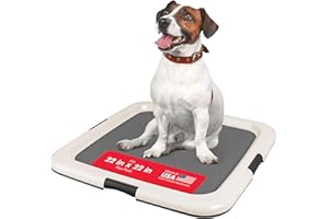 IRIS USA Pee Pad Holder for Regular Sized Dog and Puppy Pee Pads, Secured Latches, Non-Skid Feet, High Polish Finish for Easy