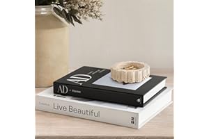 innoicco Aesthetic Decorative Books for Home Coffee Table Decor - Fake Books for Living Room Bookshelf Decoration - Set of 2 Faux Book Storage Box for Decor - Photo Storage Keepsake Box