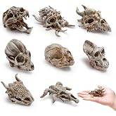 Bbiamsleep 8 Pcs 2.3 Inch Mini Animal Skulls Mini Skulls for Halloween | Resin Animal Skulls Miniature Skulls Small Skulls Mini Skull Heads for DIY Projects Halloween Decoration