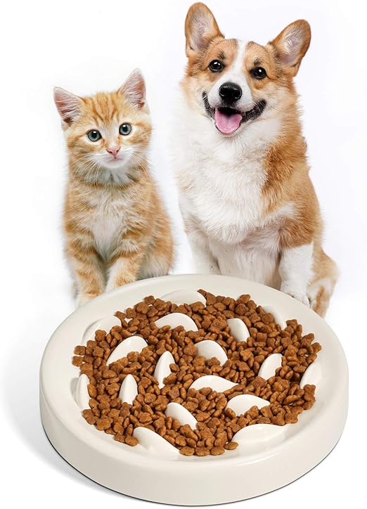 feed bowls to slow cat eating