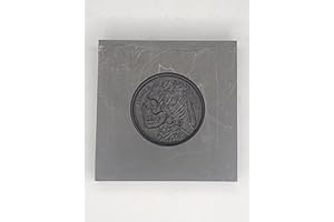 GENERIC Hobo Coin 3D Graphite Mold