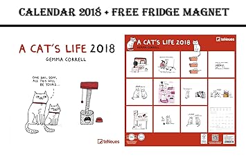 La vida de un gato cuadrícula calendario 2018 + Celebrity imán ...