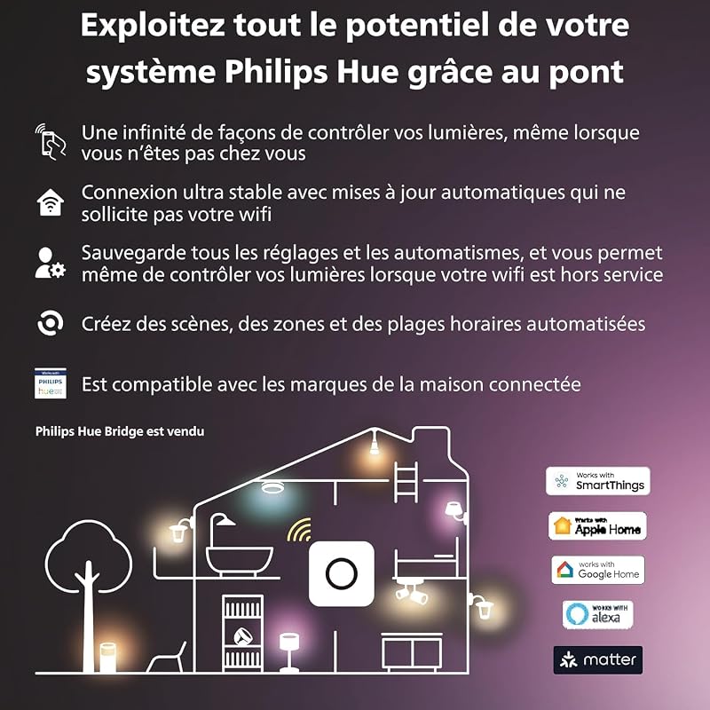 Lightstrip Play Gradient pour TV 65 pouces, Bande ambilight pour synchronisation de la lumière avec l'écran, Bande led compatible avec Alexa, Google Assistant et Apple Homekit