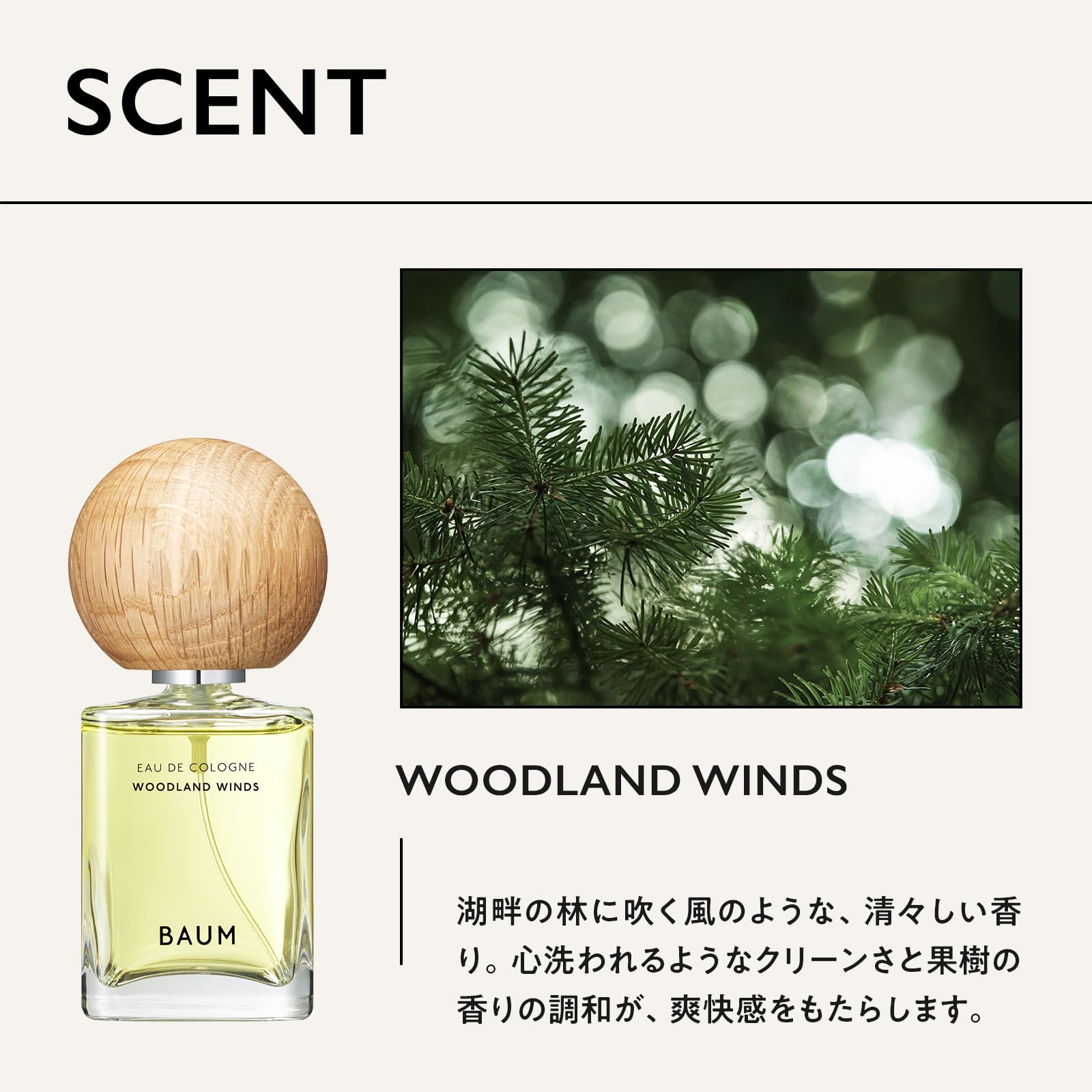 Mua Baum Eau De Cologne WOODLAND WINDS 2.4 fl oz (60 ml) x 1