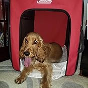 coleman pop up kennel