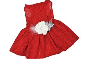 HOUSE OF FURBABY Christmas Dog Dress, Holiday Dog Dress, Red Lace Dog Dress, Christmas Dog Clothes, Fits Dogs XS to 5XL (L 15-20lbs)