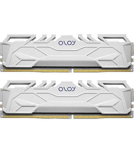 Netac DDR4 DRAM 8GB C16 3200MHz XMP 2.0 Dual Channel RAM (PC4