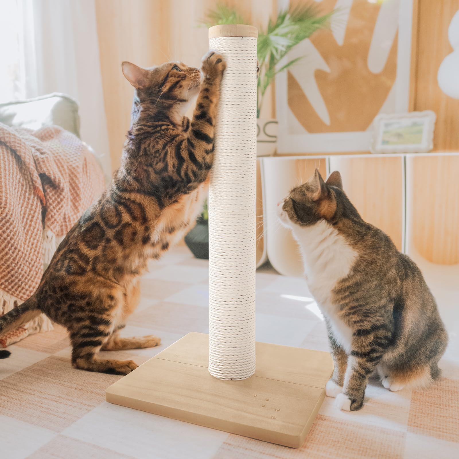 Photo 1 of ***MISSING HARDWARE***Necoichi 23.6” Tall Cat Scratching Post Kitten Scratcher Paper Rope Scratch Posts Trees with Hanging for Indoor Cats (23.6 inches for Kitty, Regular, Oak)