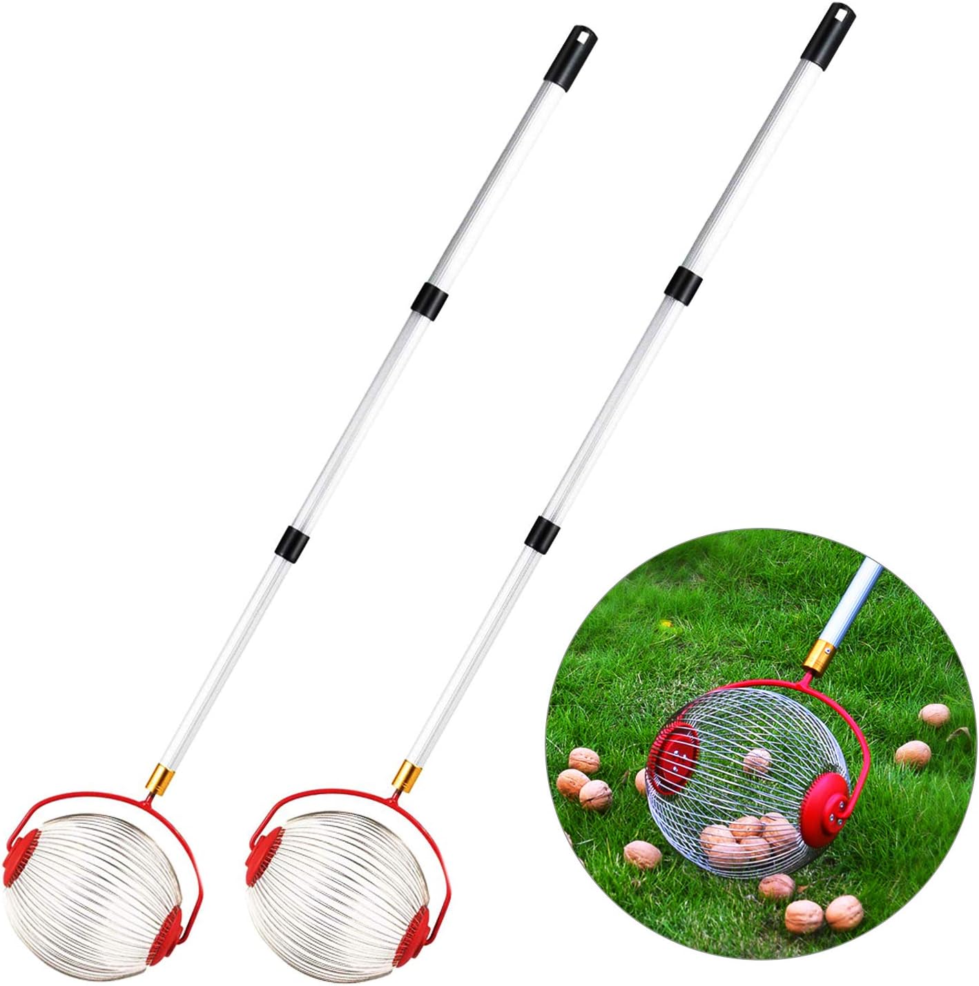 C-CHAIN Medium Nut Gatherer, Rolling Nut Harvester Ball Picker, Adjustable Lightweight Outdoor Manual Tools Picker Collector Walnuts Pecans Crab Apples Nerf Darts and Ball 1'' to 3'' in size