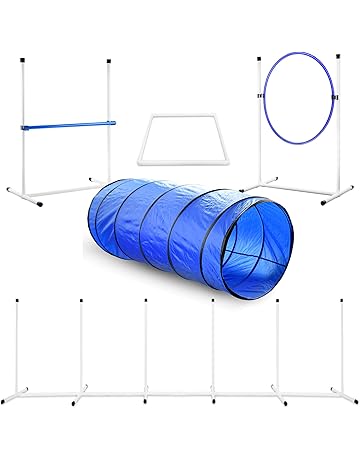Amazon Com Agility Equipment Training Behavior Aids Pet