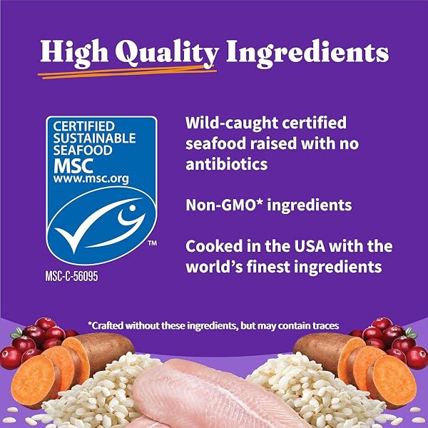 HALO HOLISTIC CAT FOOD WILD CAUGHT WHITEFISH FORMULA, HEALTHY GRAINS DRY CAT FOOD, FOR SENSITIVE STOMACH SUPPORT, KIBBLE FOR ADULT CATS, 6 LB BAG