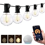 XMCOSY+ Smart Outdoor String Lights, 150Ft G40