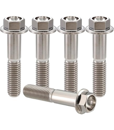 Amazon.com: RISON Titanium Bolts M10*1.25 * 25 Torx Titanium Bolts