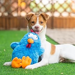 Best Pet Supplies Interactive Squeaky Dog Chew