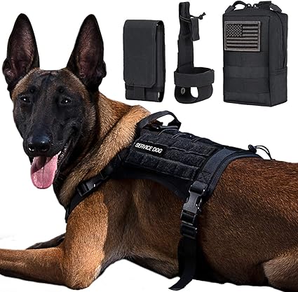 safe healthy dog treats