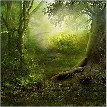 Amazon Com Ofila Fairy Forest Backdrop 5x5ft Magic Trees Girls