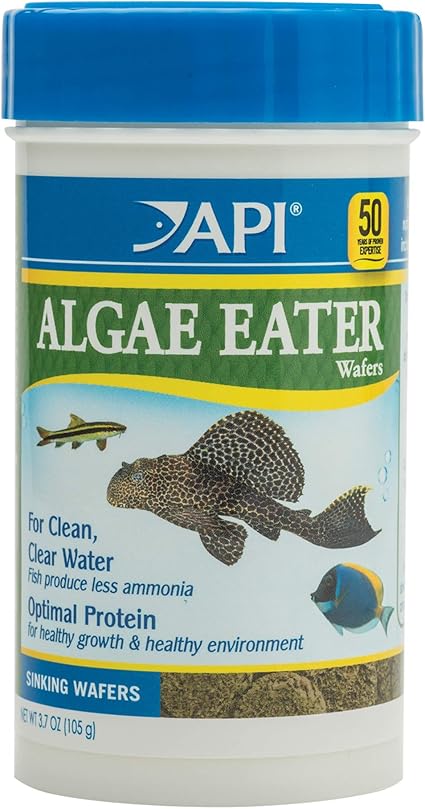 Amazon Com Api Algae Eater Wafers Algae Wafer Fish Food 3 7