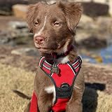 rabbitgoo Dog Harness Small No Pull Adjustable Reflective Red S view 9