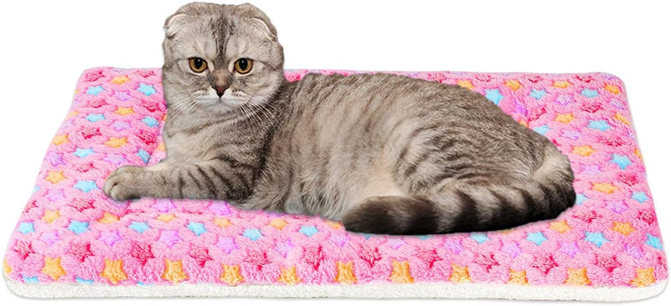 FJWYSANGU Pet Blanket Premium Fluffy Flannel Cushion Soft and Warm Mat for Dogs Cats Small Size Animal Pink Stars : Pet Supplies