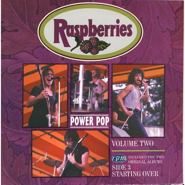 洋楽 AOR CD Raspberries Power Pop Vl 1 & 2 71c2IzfEyXL._AC_UL600_SR600,