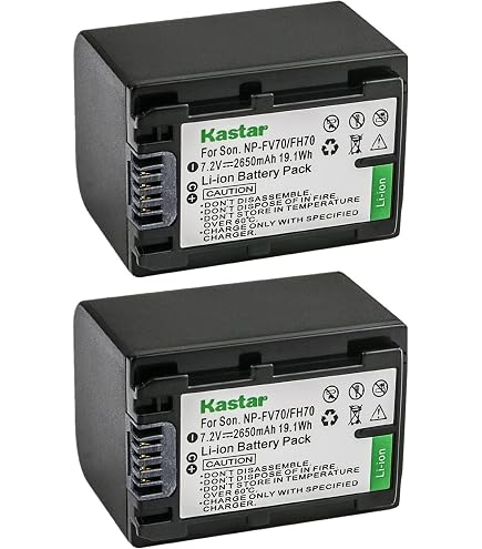 Amazon.com: Kastar NP-FV70 Battery (1-Pack) for Sony NP-FV100 NP