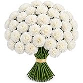 KaBloom-50 White Carnation Bouquet,Flowers for Valentine, Mother's Day