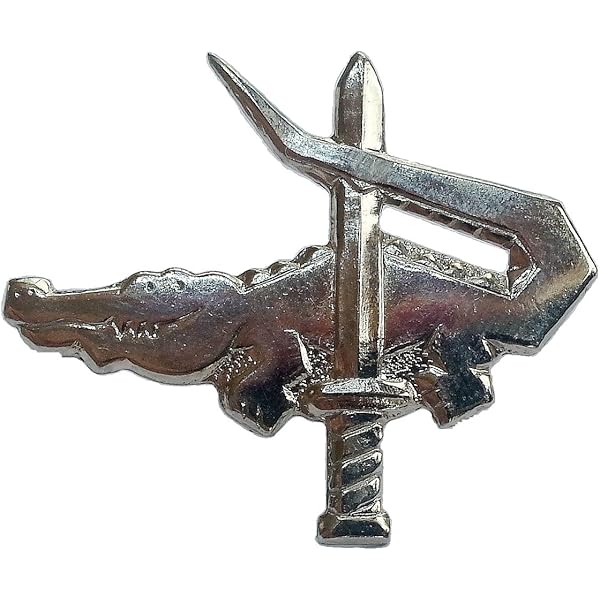 IDF イスラエル空軍　バージ ピン Badge Pin　A Amazon.com: Lizard field intelligence Israeli army Israel IDF