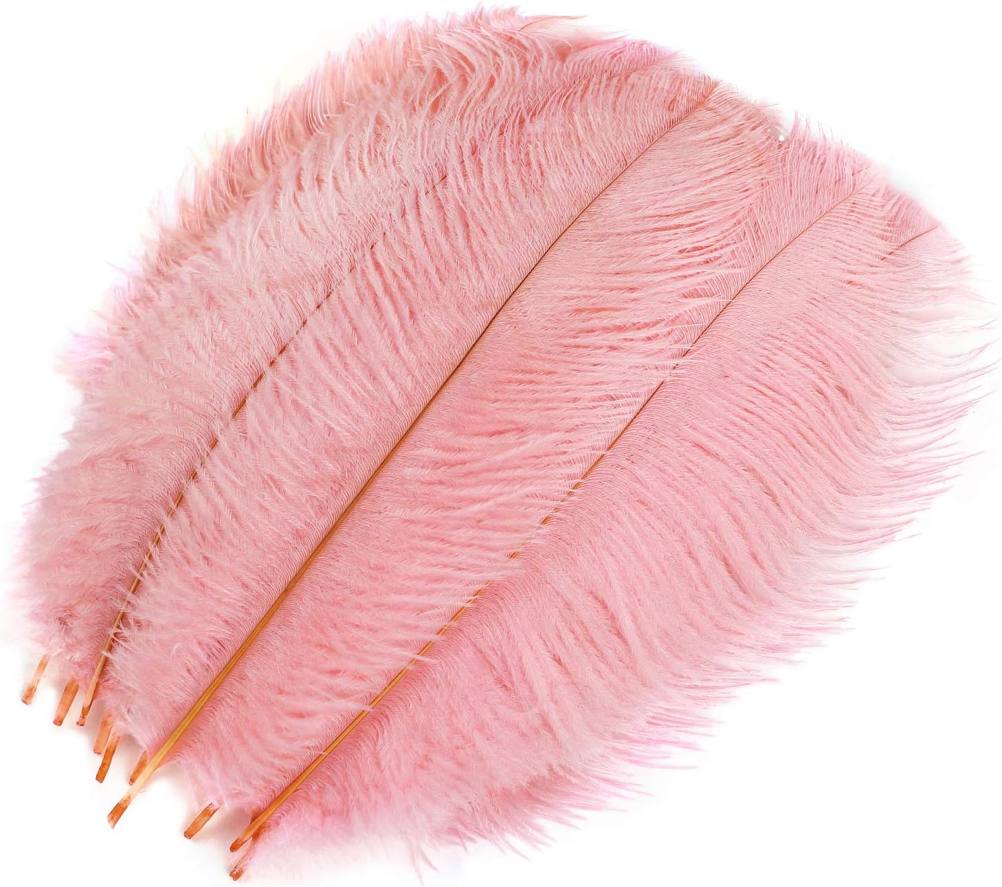 MWOOT 10pcs Natural Ostrich Feathers - Image 3