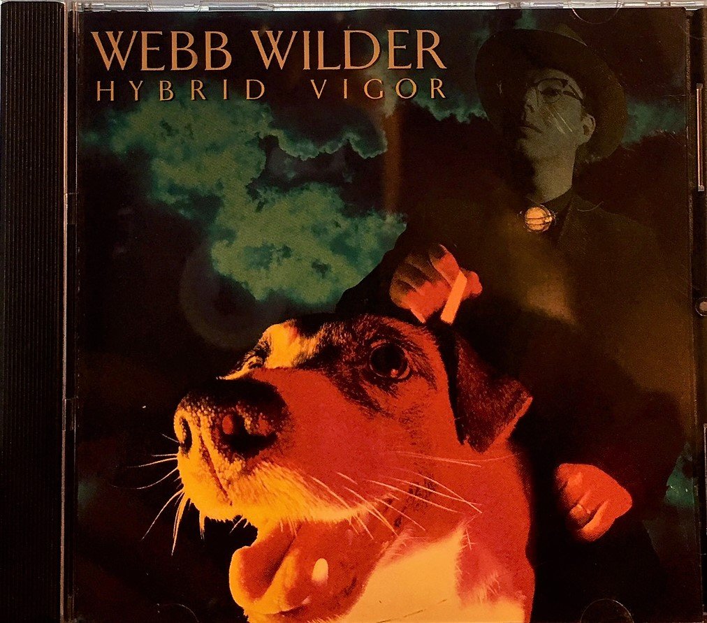 Hybrid Vigor UK Import By Webb Wilder Amazon co uk Music