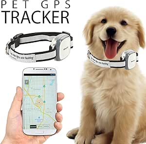 find my dog tracker