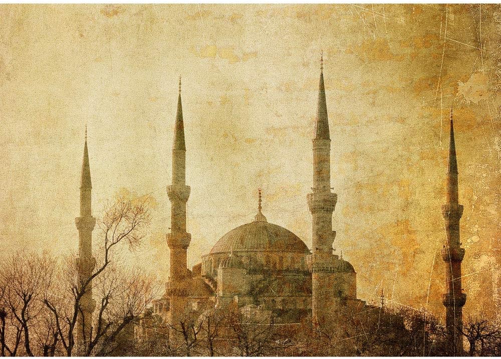 Non-Woven Photo Wallpaper Premium Plus Wall Mural - 137.8"W x 96.5"H (350x245cm) - Turkey Istanbul Mosque Abstract Beige - no. 0267
