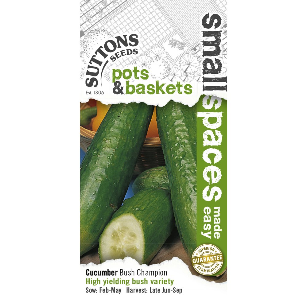 Suttons Seeds Cucumber Bush Champion Seeds Average Packet Content 8 Seeds Per Packet by Suttons