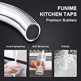 Funime Traditional Kitchen Sink Mixer Tap Ceramic Dual Lever 1 Hole Brass Chrome view 7