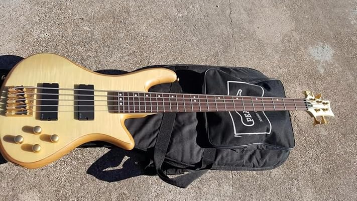 schecter guitar gig bolsa