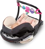 Bright Starts Busy Birdies Carrier Toy Bar Musical Take-Along Toy view 8