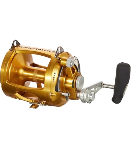 Amazon.com : Penn International VIS 2 Speed Reel, Silver, 30