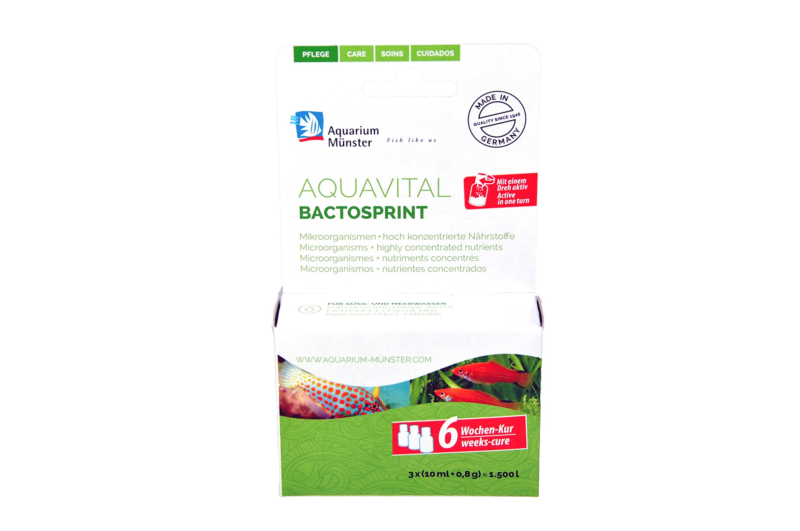 Aquarium Münster bactosprint 3x10ml for Aquarium