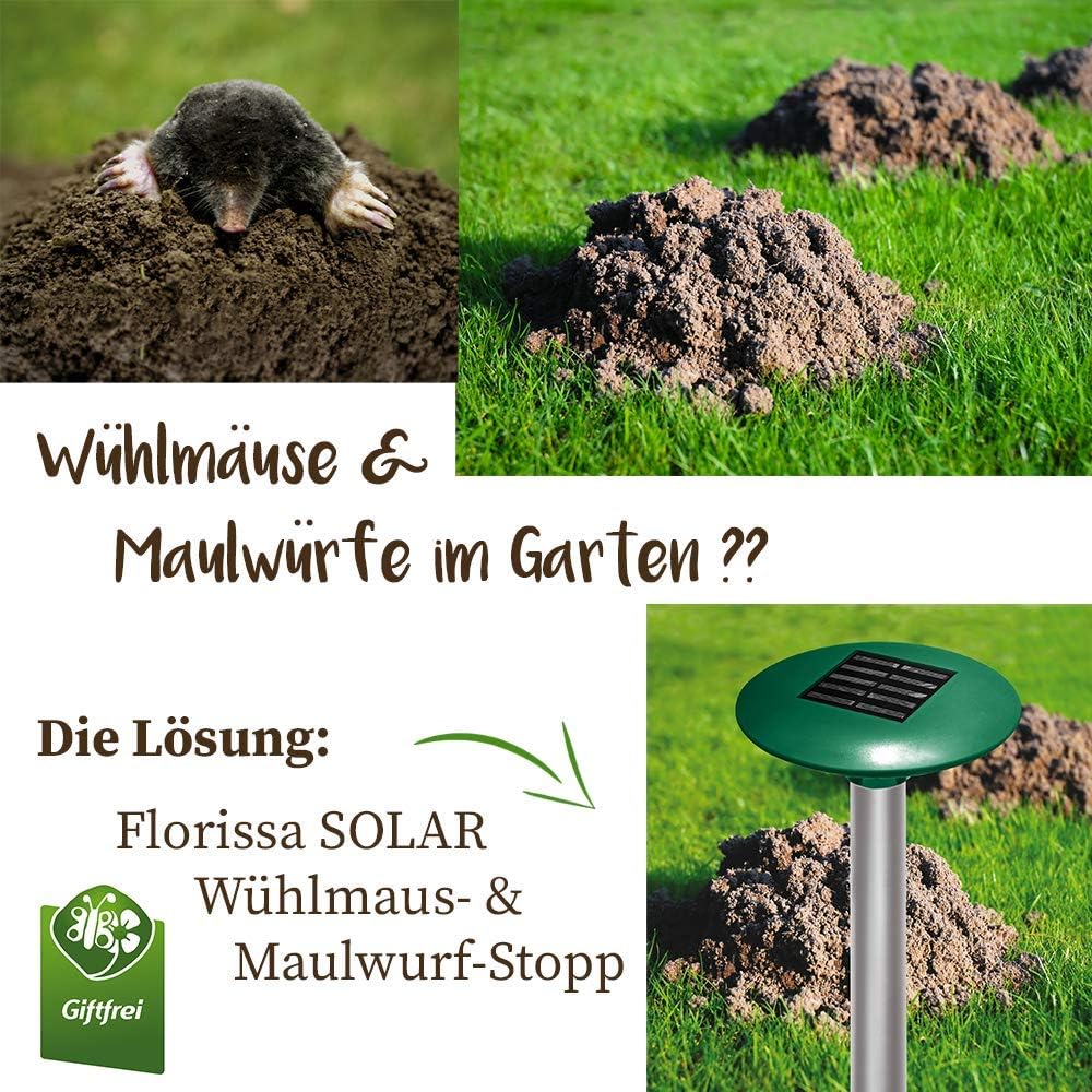 Florissa Problemloser 48623 Solar Wuhlmaus Und Maulwurf Stopp Grun Amazon De Garten
