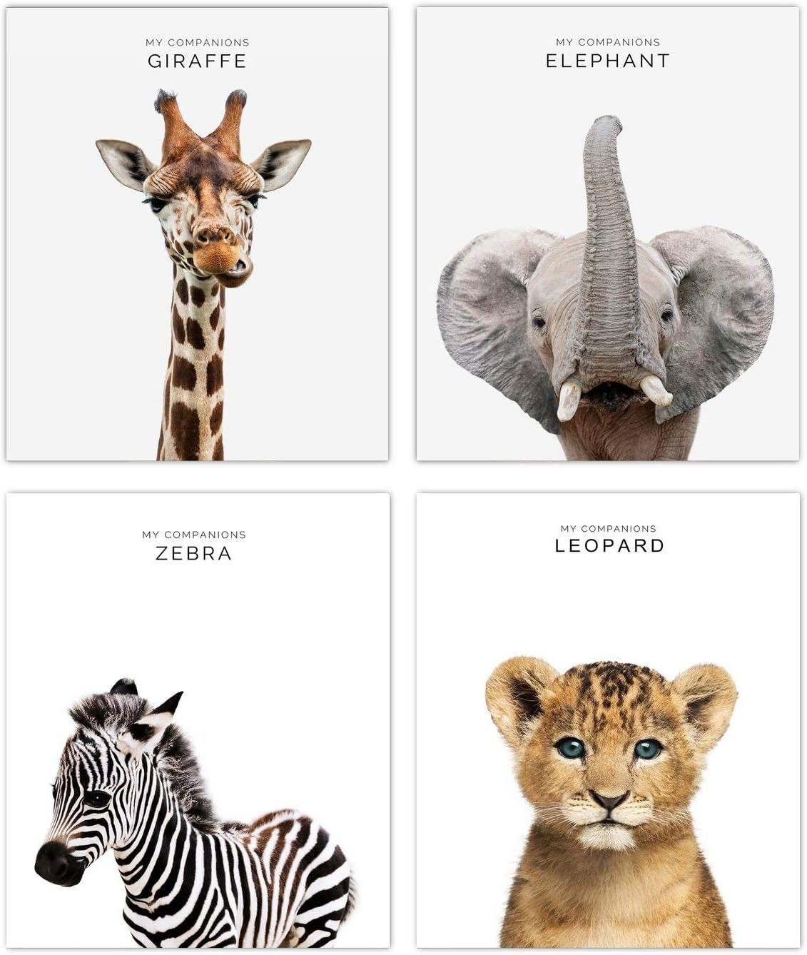 Niwo Art - Safari Baby Animals Nursery Decor Art | Set of 4 (Unframed) Dual-Purpose Wall Prints, Peel and Stick Sticker & Poster (08"x10")
