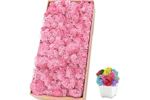 TCYPUHL Preserved 17.6 OZ Pink Reindeer Moss for Potted Plants,Craft Decor for Wall Art,Fake Moss for DIY Decorative(1.1 LB, Pink)