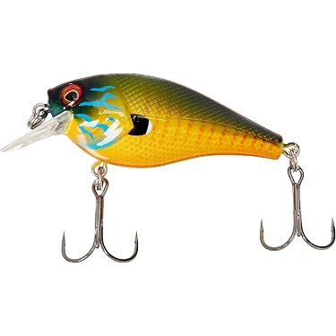Most Wished For: Items customers added to Wish Lists and registries most often in Fishing Topwater Lures