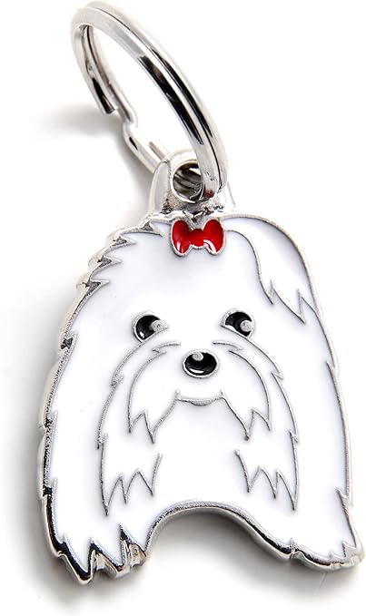 Bichon Maltais Disponible Prix 350 Dt Adoption Ou Vente