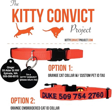 customized collar for cats