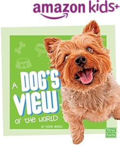 kindle best category lists