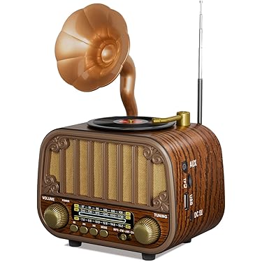 RADIO AIWA PORTATIL MOD AWFML4 – Tiendas EKM, S.A