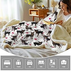 BlessLiving Red Hearts Dog Cat Print Plush Blanket