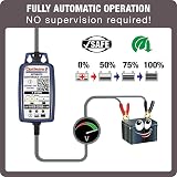 OptiMate 1 Duo 12V Battery Charger Maintainer LiFePO4 Lead Acid view 6