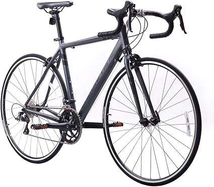 bicicleta endorphine fast 10