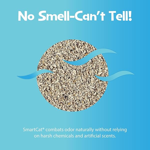 SMARTCAT ALL NATURAL CLUMPING CAT LITTER, 10 POUND (160OZ 1 PACK) – ALTERNATIVE TO CLAY AND PELLET LITTER – CHEMICAL AND 99% DUST FREE – UNSCENTED AND LIGHTWEIGHT